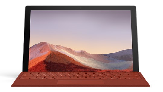 石龙镇清洁和维护 Surface